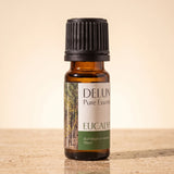 Eucalyptus (Radiata) Pure Essential Oil